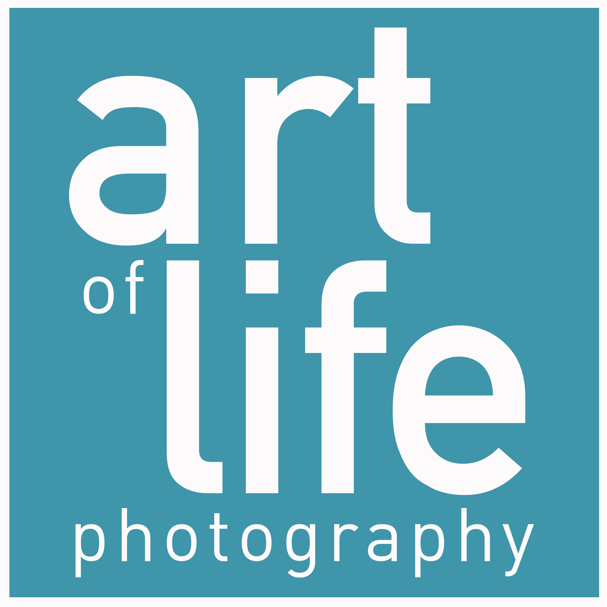 Art of Life Photography Logo